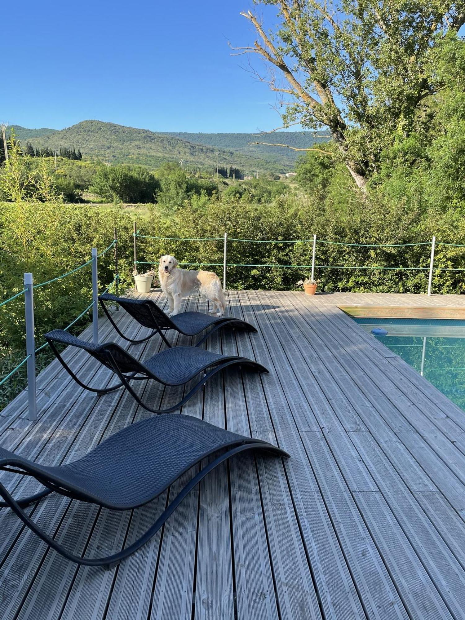 Le Domaine De La Tuilerie - Gite De Charme En Bord De Riviere Avec Piscine Servies-en-Val المظهر الخارجي الصورة