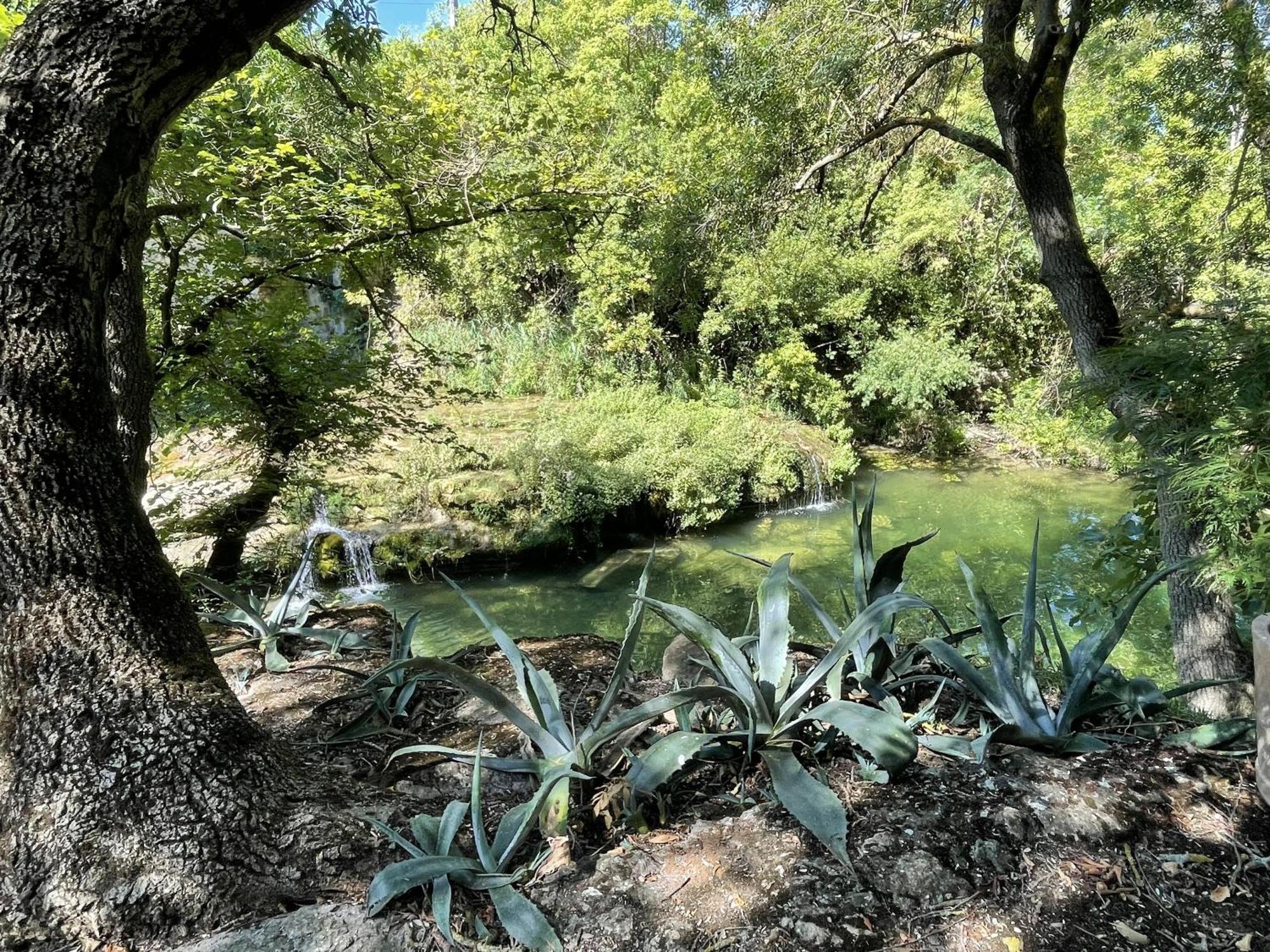 Le Domaine De La Tuilerie - Gite De Charme En Bord De Riviere Avec Piscine Servies-en-Val الغرفة الصورة
